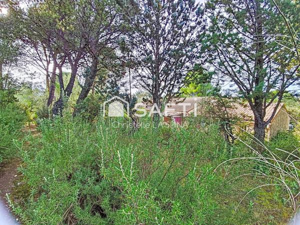 Propriété rare au fort potentiel