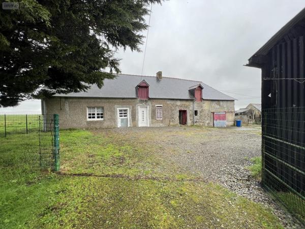 Maison à vendre à Noyal-sur-Vilaine en Ille-et-Vilaine (35530), ref : VM2480-35018