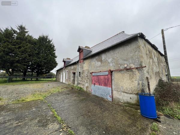 Maison à vendre à Noyal-sur-Vilaine en Ille-et-Vilaine (35530), ref : VM2480-35018