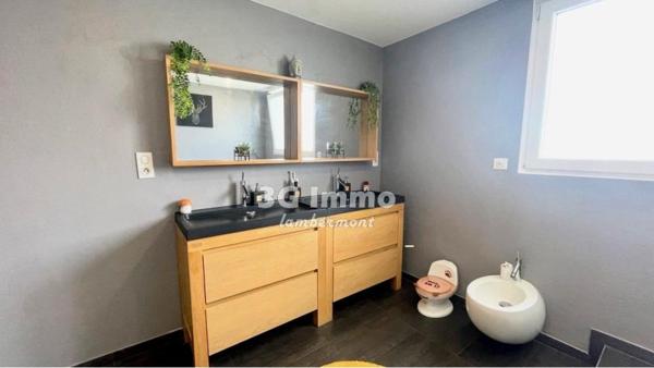 Vente / Maison mitoyenne à Mont-Saint-Martin (54350)