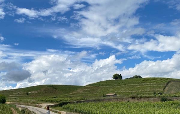 Vente Terrain Constructible Larnage   