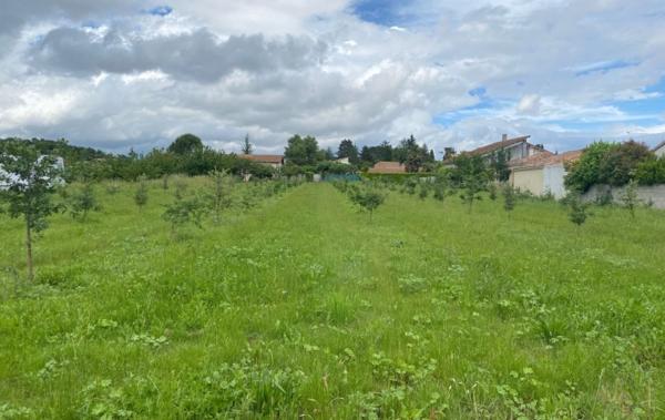 Vente Terrain Constructible Larnage   