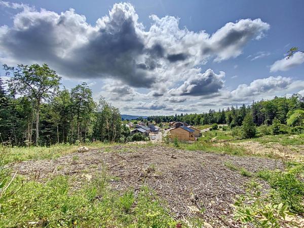 Terrain constructible de 595m2