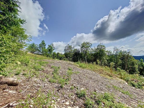 Terrain constructible de 595m2