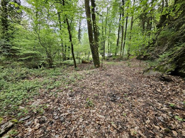 Retour à la vente  Terrain naturel de 7 430 m² à Saint-Paul-sur-Isère (73730)
