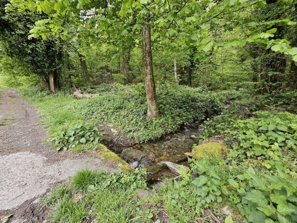 Retour à la vente  Terrain naturel de 7 430 m² à Saint-Paul-sur-Isère (73730)