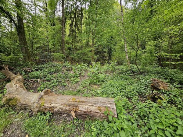 Retour à la vente  Terrain naturel de 7 430 m² à Saint-Paul-sur-Isère (73730)