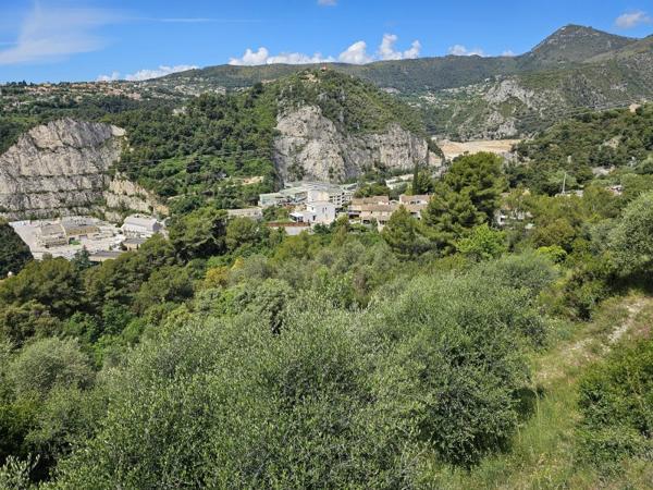 Vente / Terrain