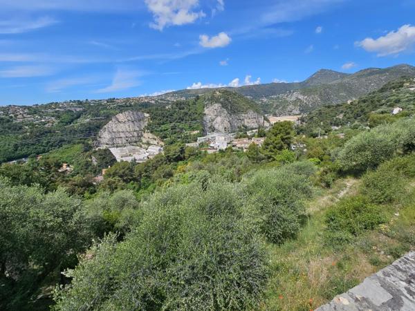 Vente / Terrain