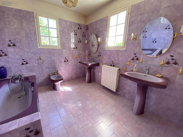 Maison à vendre à Buzançais dans l'Indre (36500), ref : 1049222