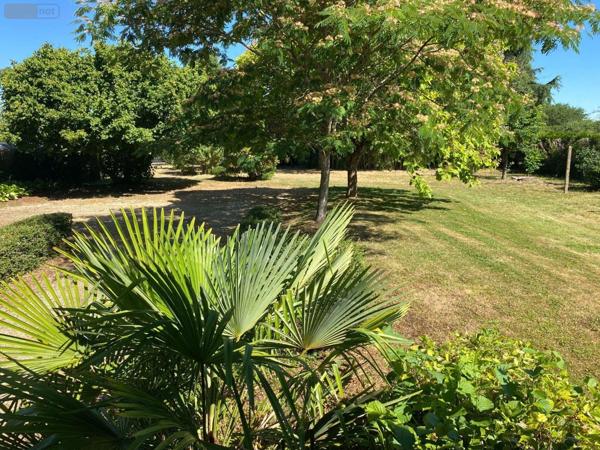 Maison à vendre à Buzançais dans l'Indre (36500), ref : 1049222