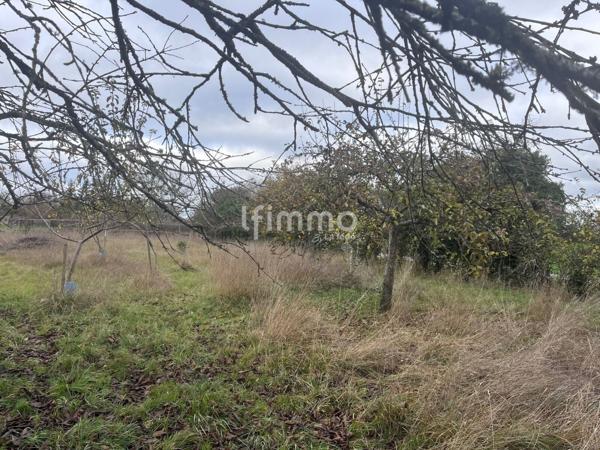 Propriété de caractère du 17ᵉ siècle à 5 min d'Argentan