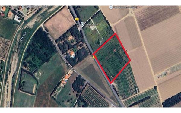 Terrain à vendre    Saleilles