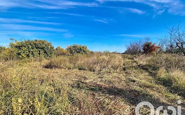 Terrain à vendre    Saleilles