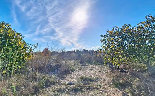 Terrain à vendre    Saleilles