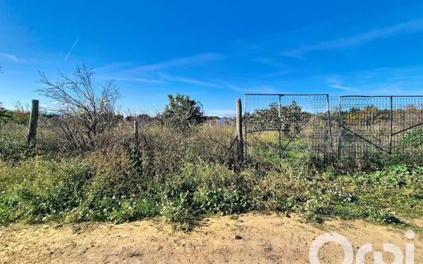 Terrain à vendre    Saleilles