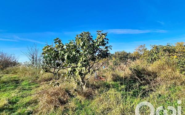 Terrain à vendre    Saleilles