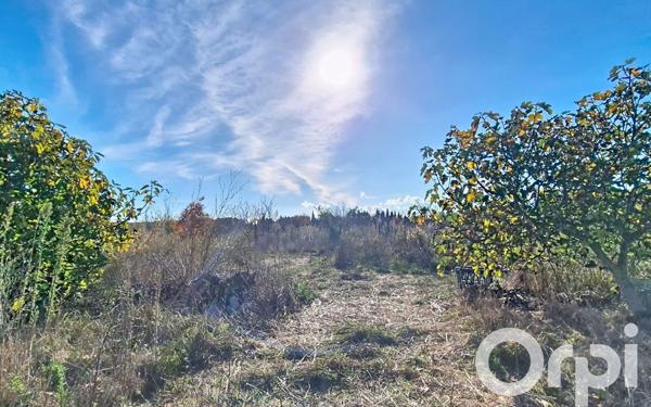 Terrain à vendre    Saleilles