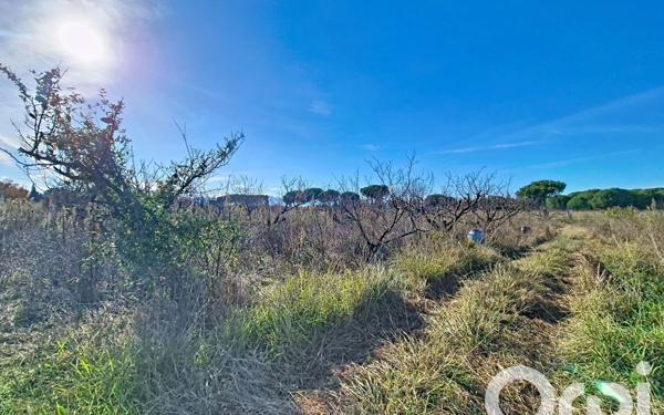 Terrain à vendre    Saleilles