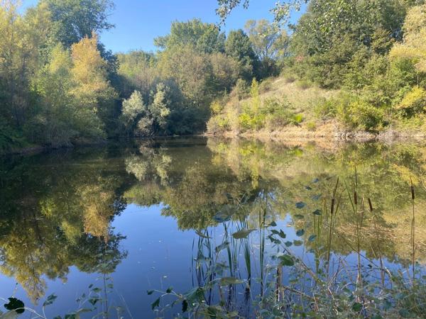 Propriété d'Exception Rénovée – 7.5 hectares - Étang privée - vue panoramique - Piscine - Source