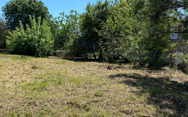 Terrain à vendre    Cannes