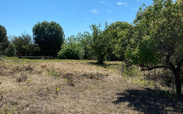 Terrain à vendre    Cannes
