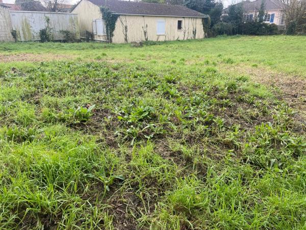 LUCON COEUR DE VILLE AVEC TOUTES LES COMMODITES A PIED RARISSIME TERRAIN A BATIR 560M² HORS LOTISSEMENT