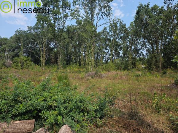 Terrain constructible à LE TEICH (33470)