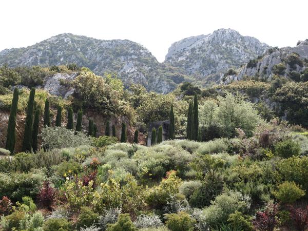 Terrain à vendre à Saint-Rémy-de-Provence (13210) - Bouches-du-Rhône