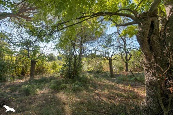 Maison à vendre |  Montpellier |  7 pièces | 165 m²