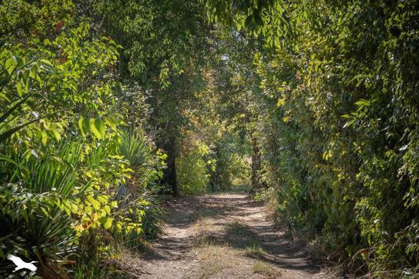 Maison à vendre |  Montpellier |  7 pièces | 165 m²