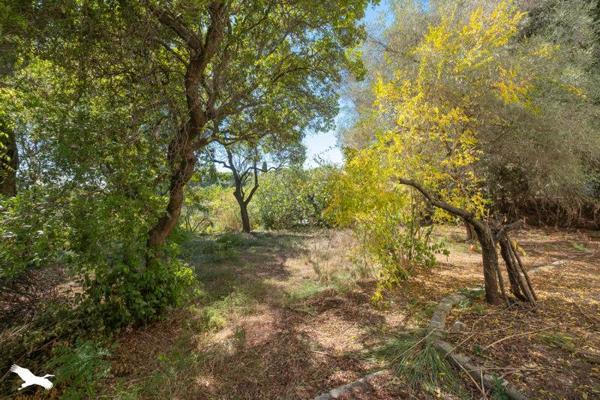 Maison à vendre |  Montpellier |  7 pièces | 165 m²