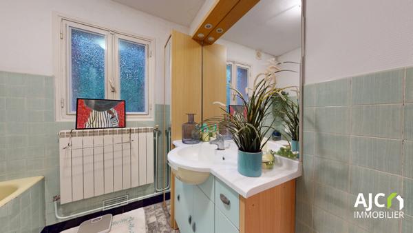 Savonnières (37510) Maison avec cour et jardin suspendu