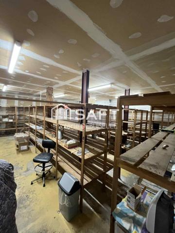 immeuble de rapport à usage mixte professionnel et Habitation