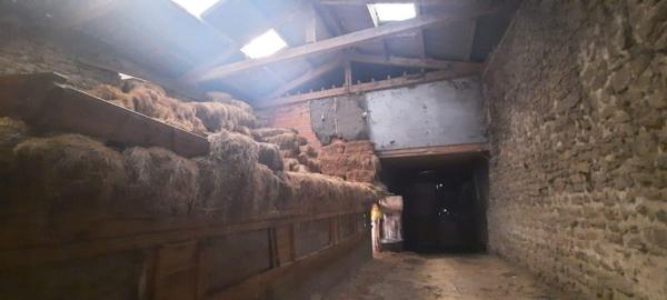 Vente / Maison avec dépendance