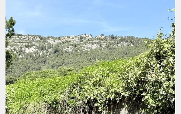 Vente Villa + piscine + jardin à rafraîchir Beaumes-de-venise   