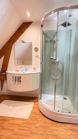 VASTE DEMEURE A VENDRE ROMORANTIN