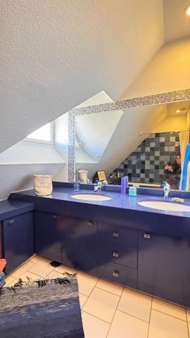 VASTE DEMEURE A VENDRE ROMORANTIN