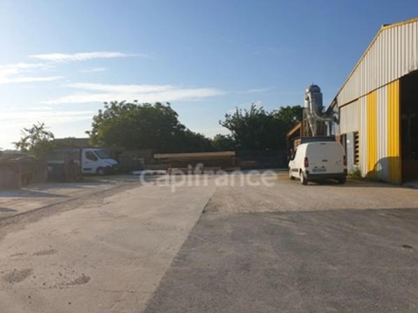 Dpt Charente Maritime (17), à vendre SAUJON - Hangar 278 m²