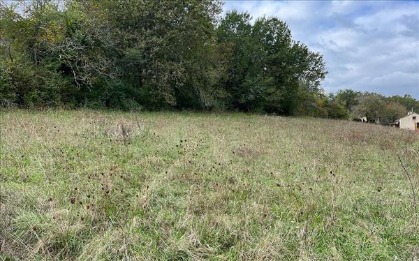 Terrain à vendre |  Le Buisson-de-Cadouin |  2258 m²