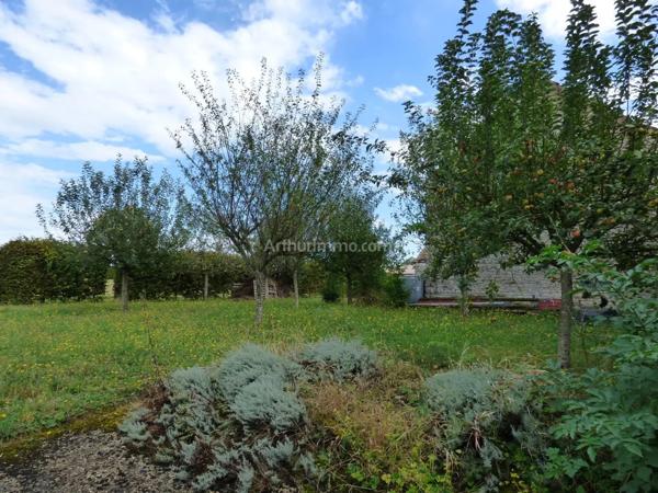 Vente Propriété 12 pièces 329 m2 à Noyers