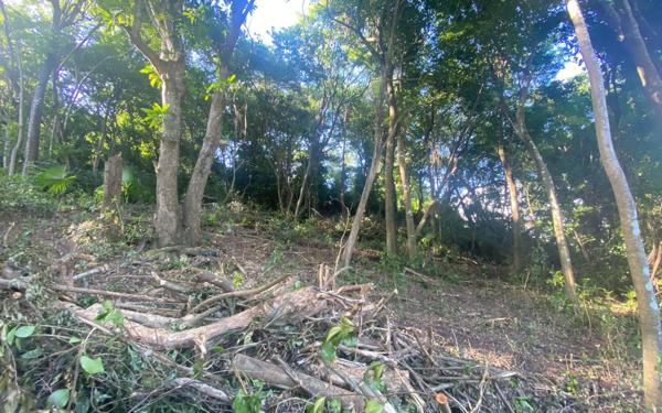 Terrain à vendre    Schoelcher