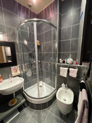 Paris (75001) IDEALEMENT SITUE PROCHE DU MUSEE DU LOUVRE