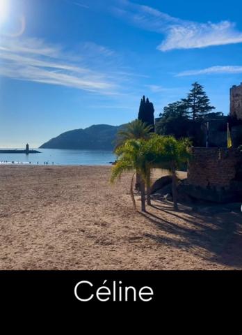 Immobilier Mandelieu-la-Napoule (06210) – Appartement 28m2 – 175 000 €