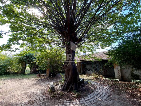 Maison familiale : 144.5 m2 / 5 chambres / garage / piscine chauffée