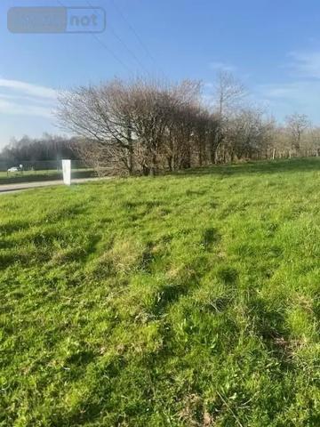 Achat - Terrain à bâtir Grand-Champ 56390 1323 m 2