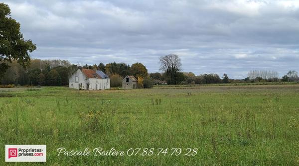 Longère en campagne avec 3,5 ha de terrain - VERNOIL LE FOURRIER (49390)