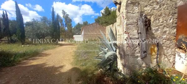 Demeure de prestige Sigean 17 pièce(s) 439 m2