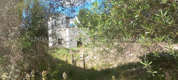 Demeure de prestige Sigean 17 pièce(s) 439 m2