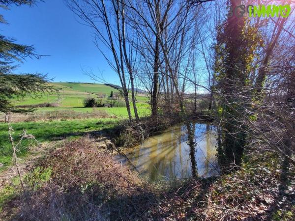 Vente / Corps de ferme